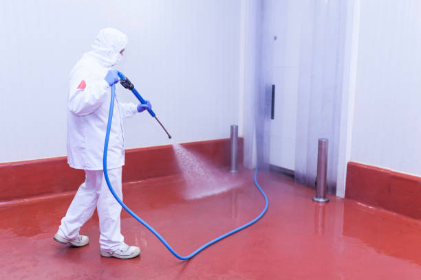 Paint Preparation in Caldwell, OH